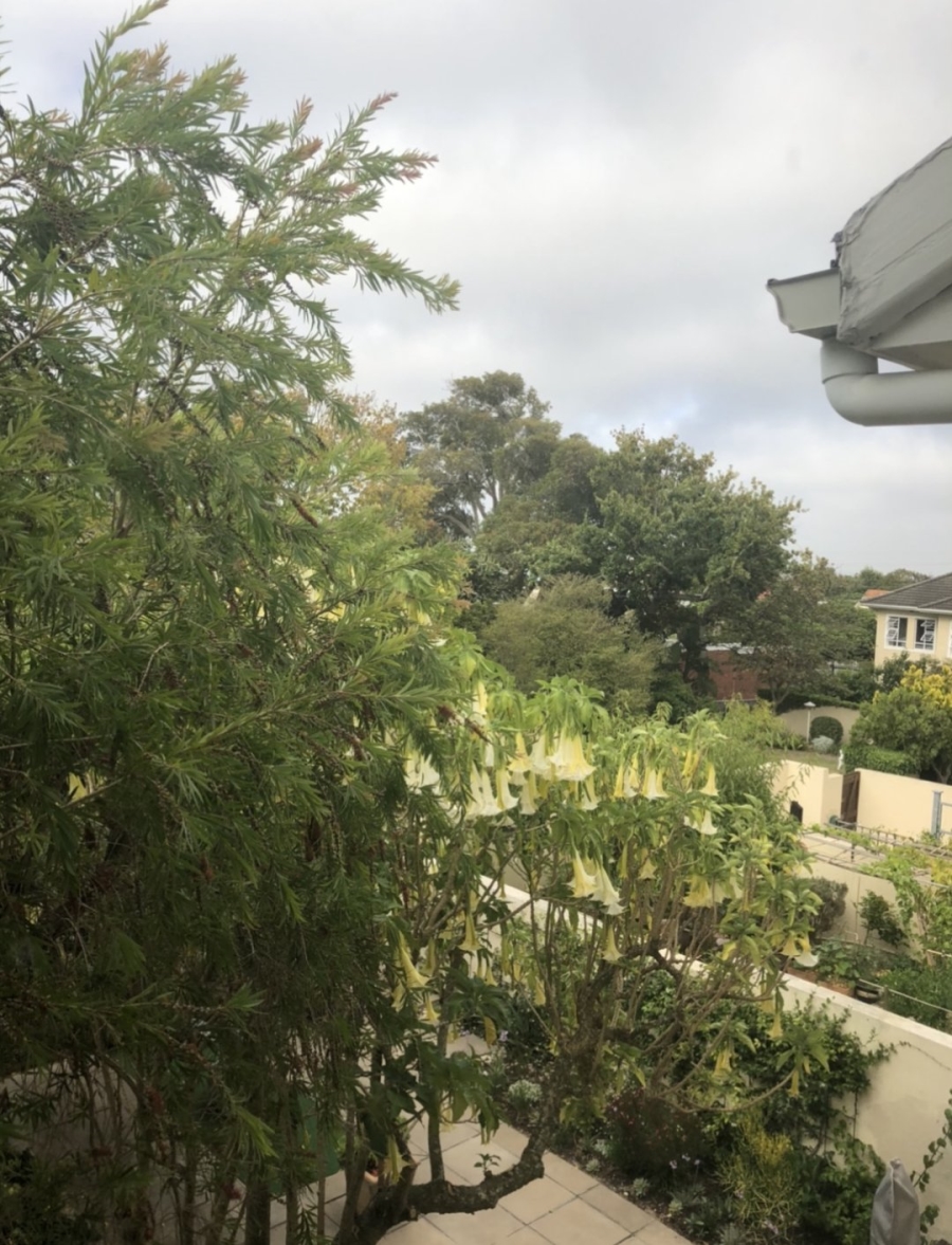 To Let 4 Bedroom Property for Rent in Kenilworth Western Cape